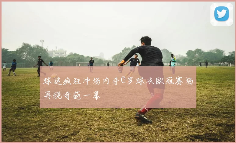球迷疯狂冲场内夺C罗球衣欧冠赛场再现奇葩一幕