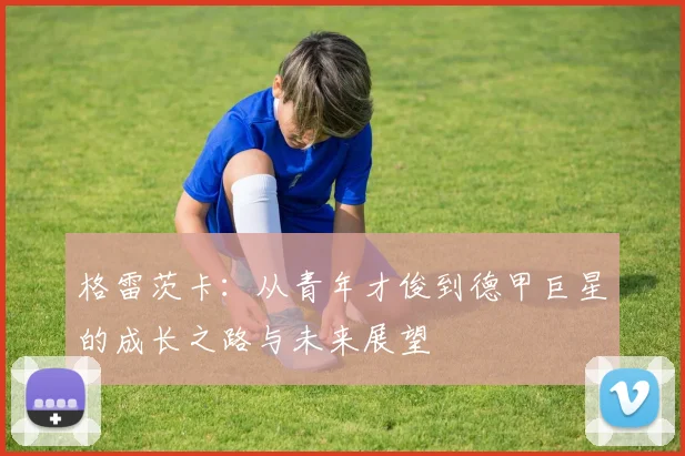 格雷茨卡：从青年才俊到德甲巨星的成长之路与未来展望