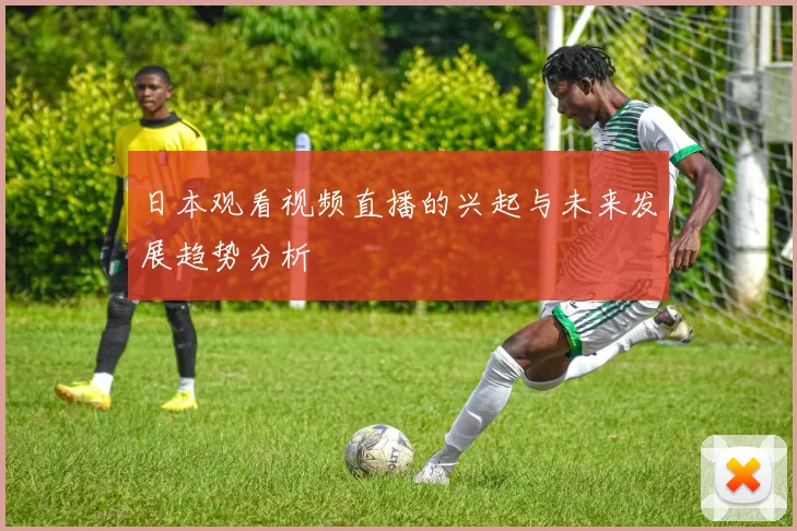 日本观看视频直播的兴起与未来发展趋势分析